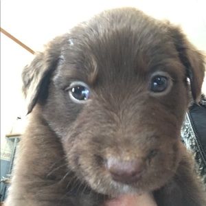 Meet your Posher, Margo